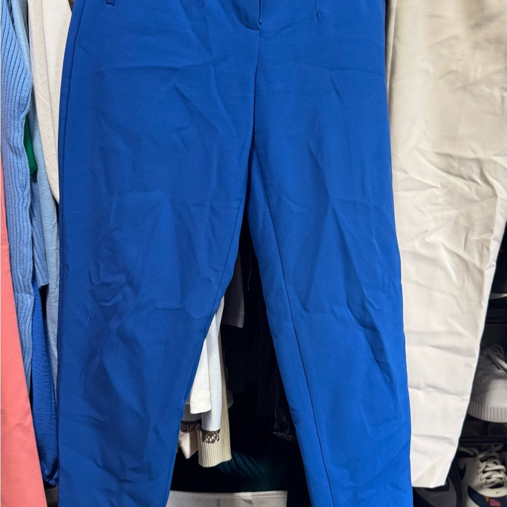 Zara Vibrant Blue Dress Pants Tailored High-Waisted